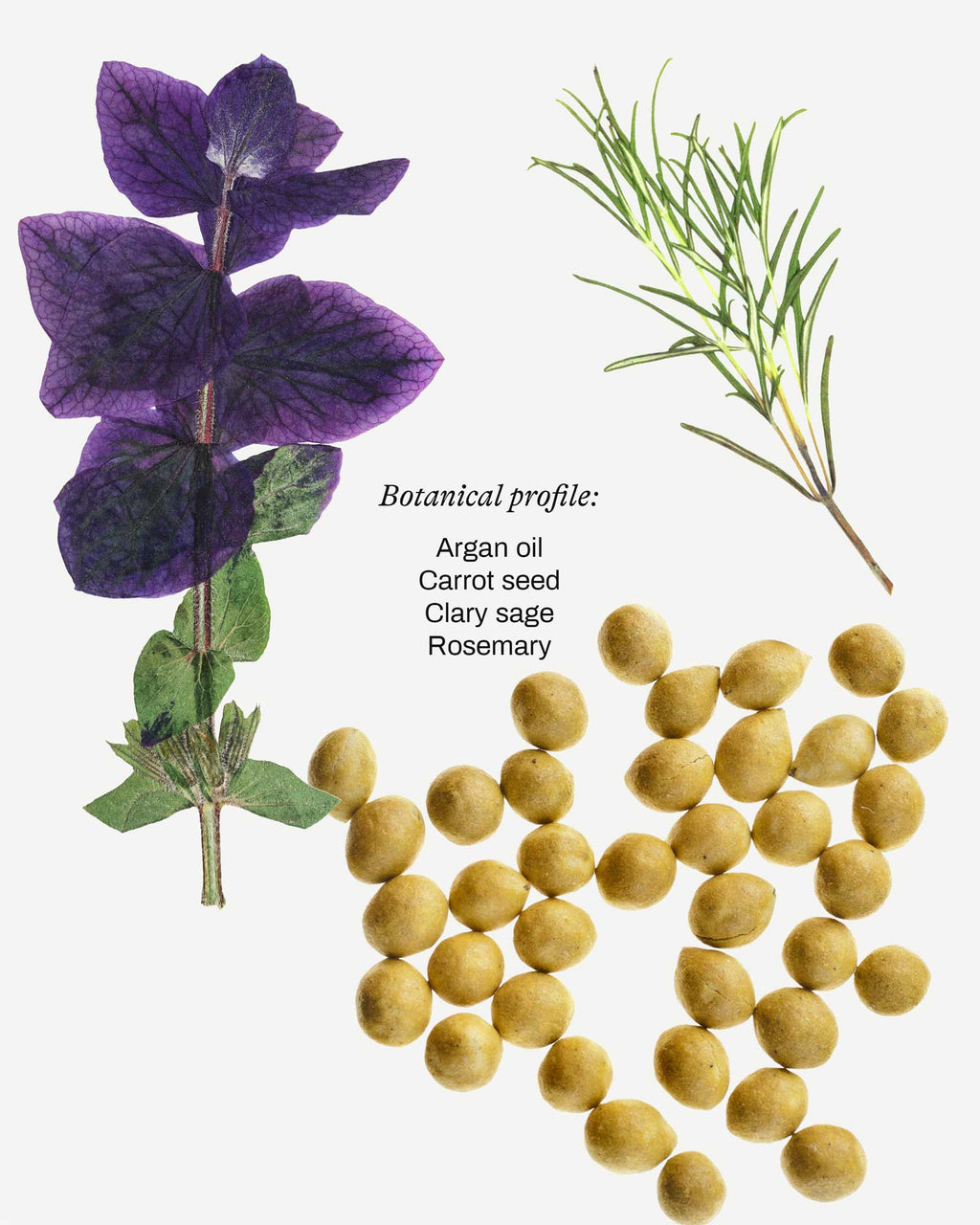 Nourishing Face Oil